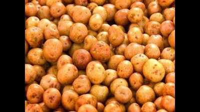 UP: Potatoes at Rs 10 per 50 kg in wholesale, cold storages dump 2.5 lakh tonnes