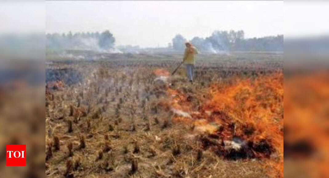 4-fold rise in green solution to burning of paddy stubble - The Times ...