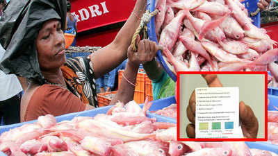 Rapid detection kit to test fresh fish contamination in market developed