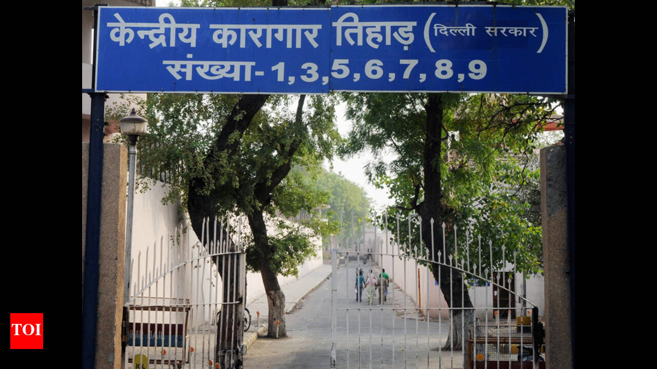 Delhi government proposes to decongest Tihar Jail by adding a floor | Delhi  News - Times of India