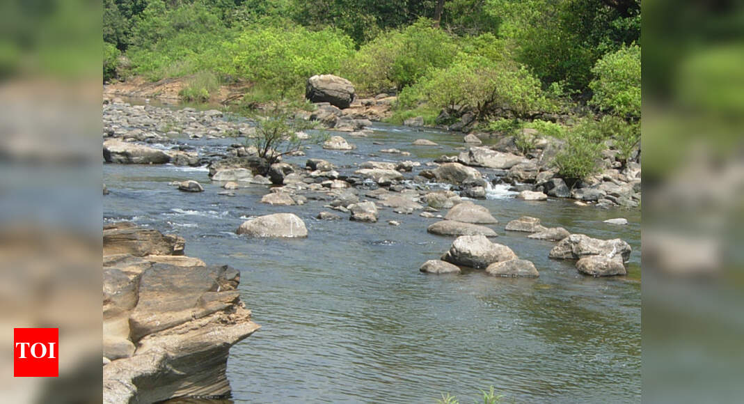 Mahadayi: BJP's swift move on Mahadayi river row irks Congress in ...