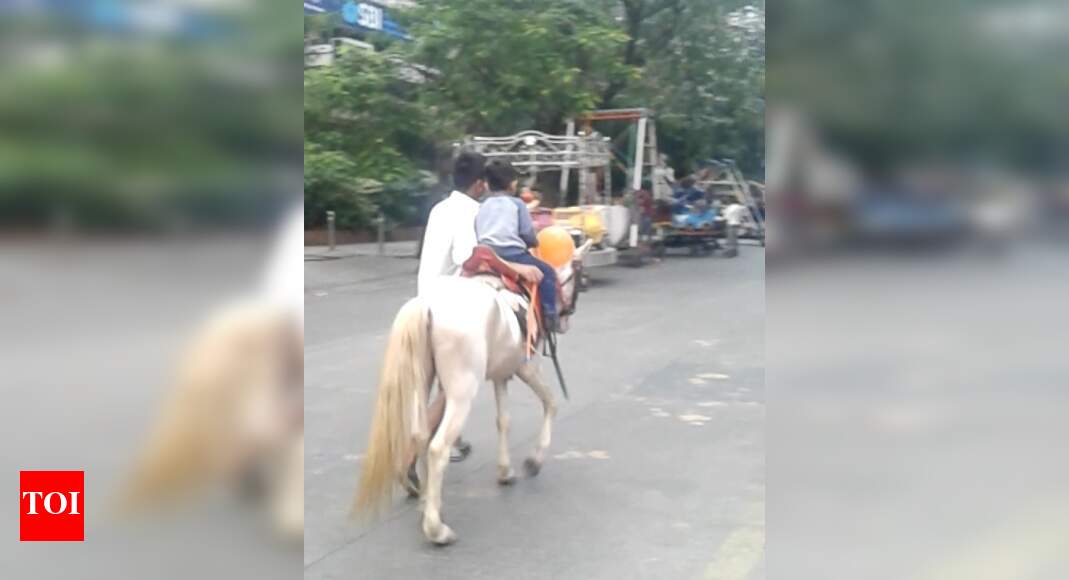 Breaking the Horse Riding Law Times of India