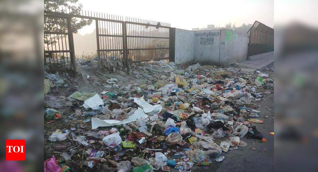 Garbage hub on bridge - Times of India