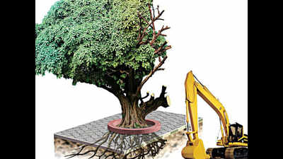 Councillors, local bodies department spar over tree pruning machine