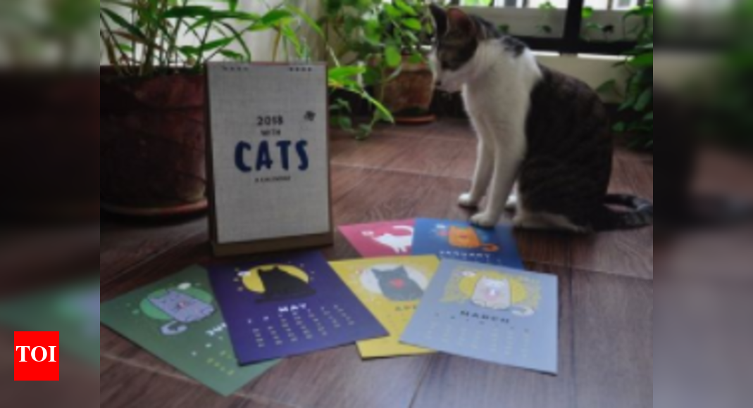 A calendar of cats, for cats Chennai News Times of India
