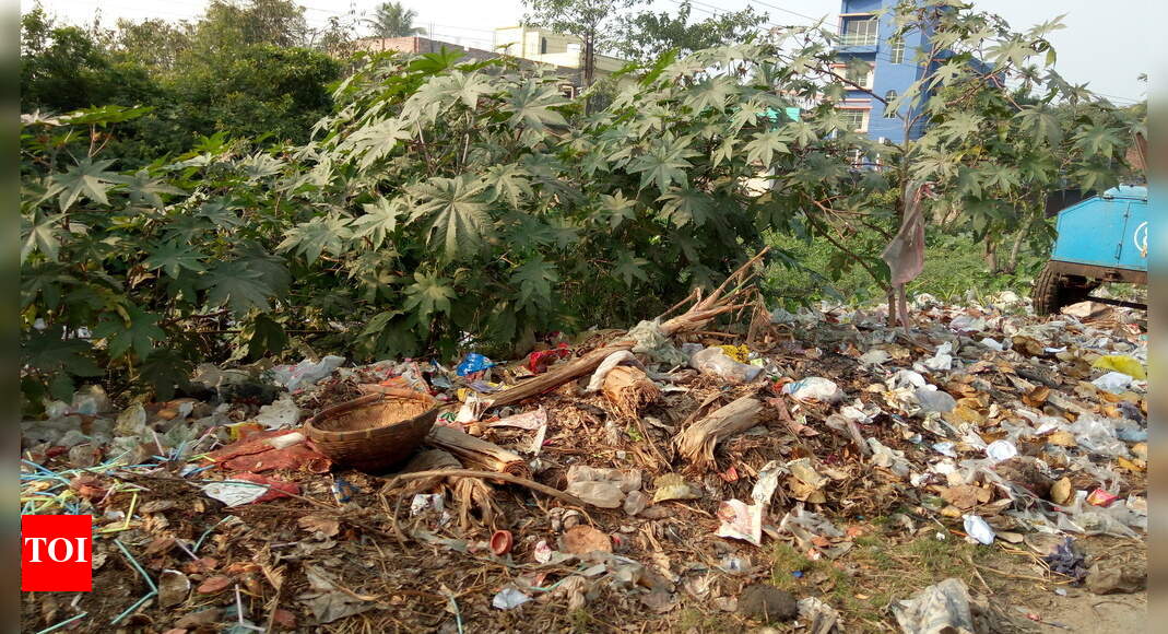 Kalyani Road Sides Garbage Dump - Times of India