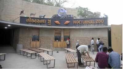 Kankaria zoo opens nocturnal animal house | Ahmedabad News - Times of India Kankaria zoo opens nocturnal animal house | Ahmedabad News - Times of India