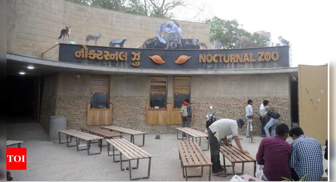 Kankaria zoo opens nocturnal animal house | Ahmedabad News - Times of India