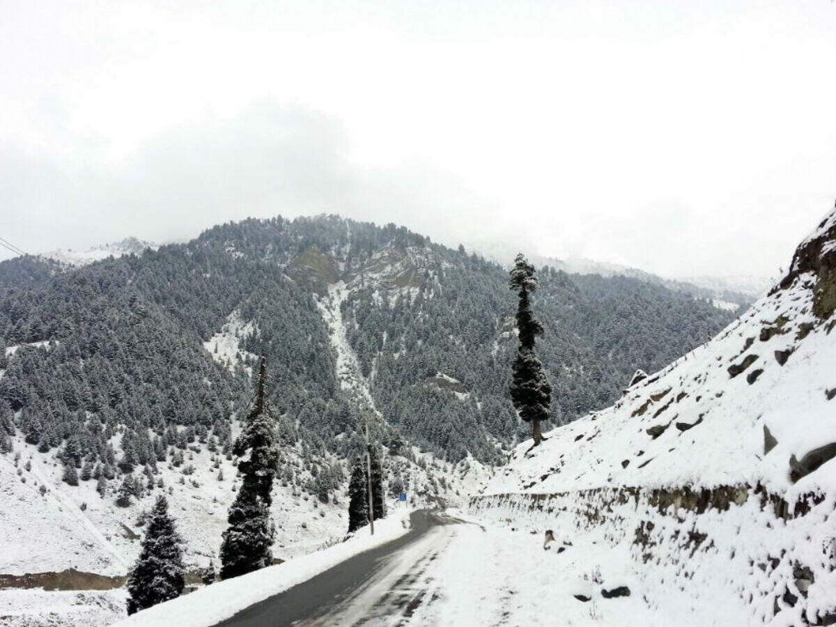 Sonmarg a huge disappointment this winter season; snow send tourists ...