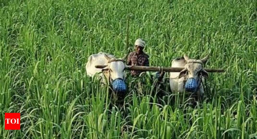 Maharashtra: Agriculture courses’ popularity soars in Maharashtra as ...