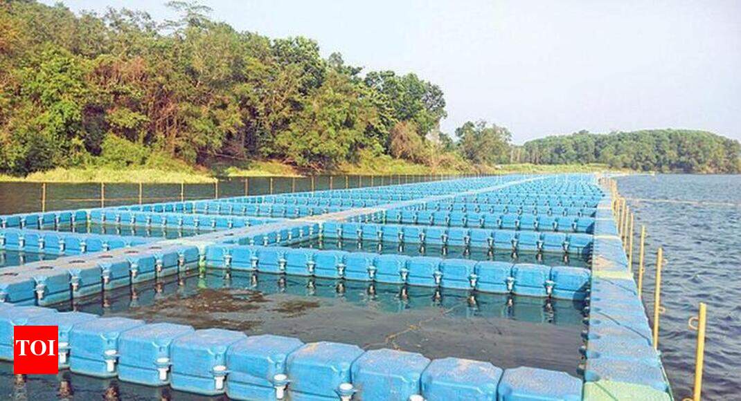 Fish farming business plan in pakistan image