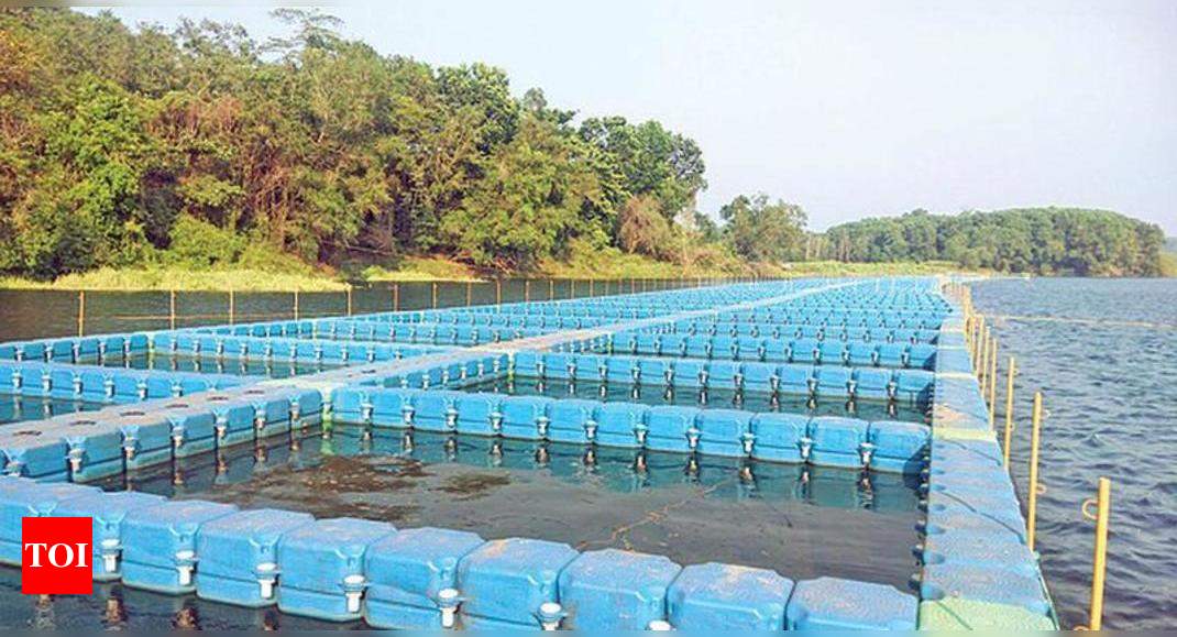 Pazhassi: Cage fish farming in Pazhassi reservoir