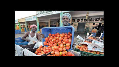Growers seek govt intervention as rates of tomato, beans crash