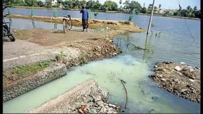 Corporation mute as lake pollution goes on