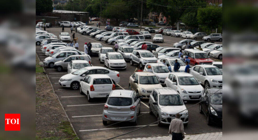 car years in human years