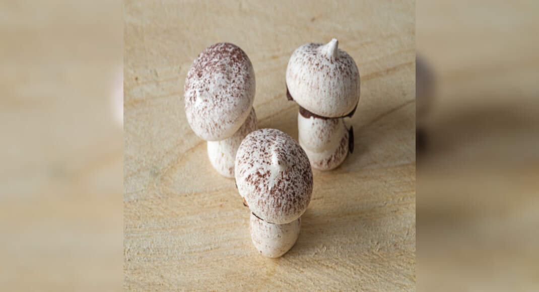 French Mushroom Meringues Recipe: How to Make French Mushroom Meringues Recipe | Homemade French Mus