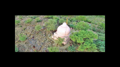 With ancient flora, UP plans to revive Govardhan Parvat