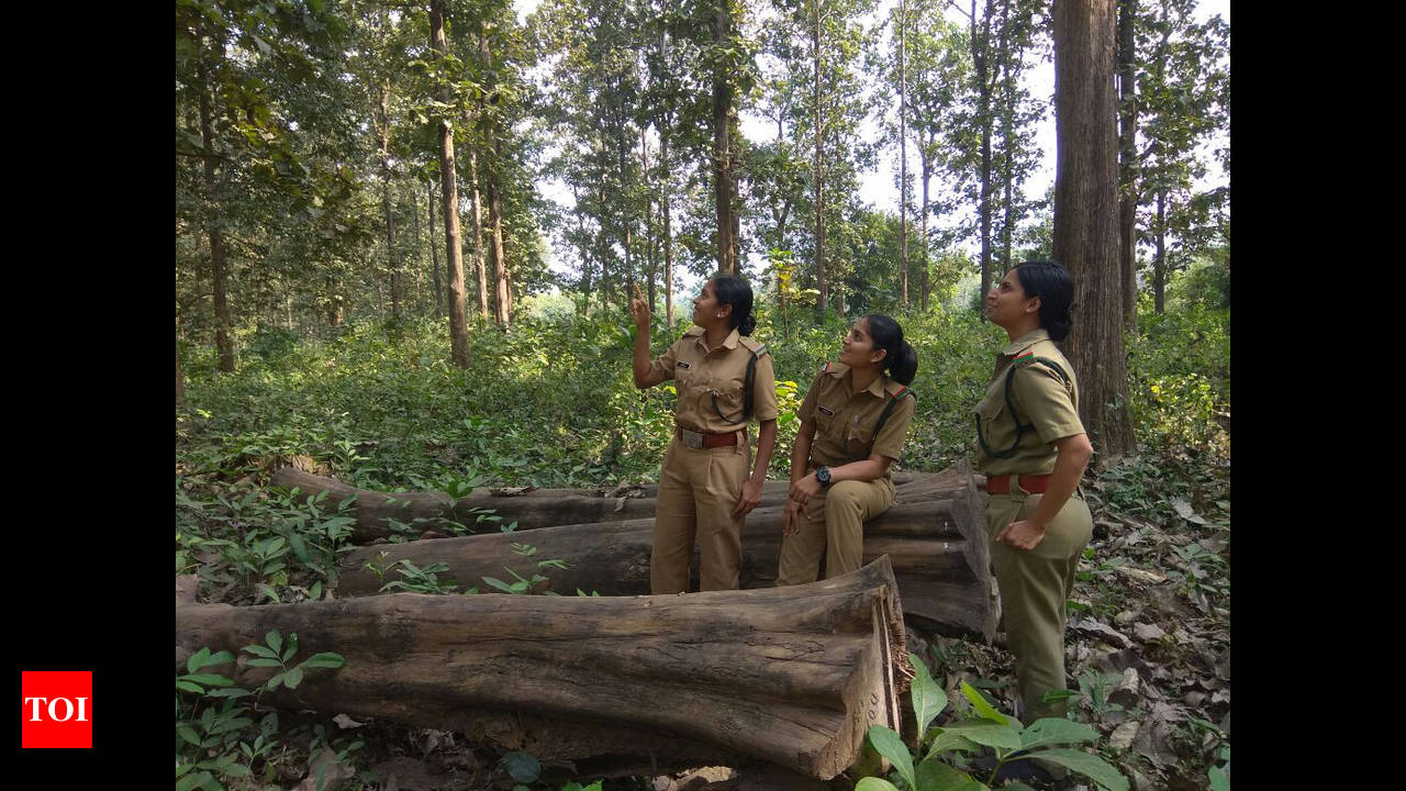 Kerala gets its first set of woman forest guards | Kochi News - Times of  India