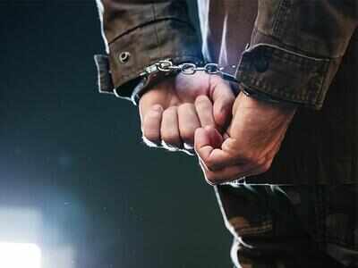 Indian held for sexually assaulting passenger on US flight