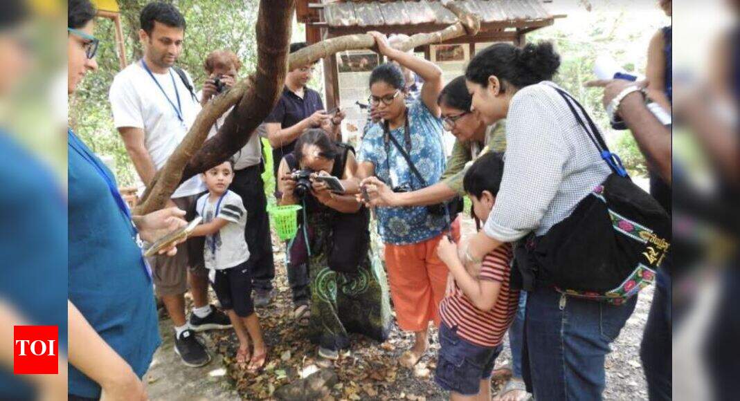 Start your own butterfly garden this year, after taking tips from BHNS