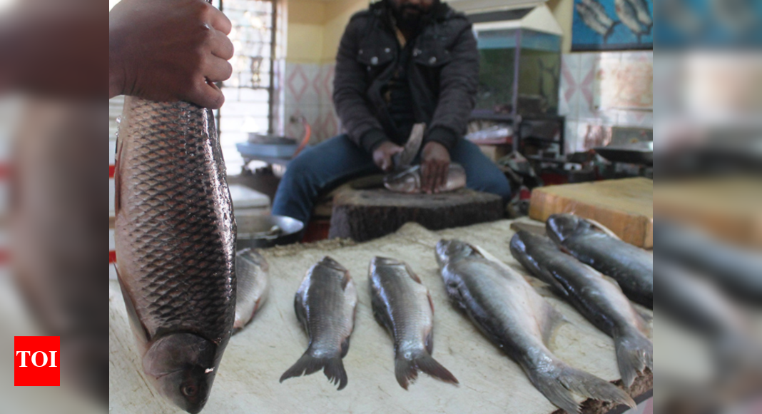 Apptastic! Govt to deliver fish online Kolkata News Times of India
