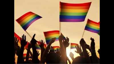 LGBT community hopeful but cautious about 377 verdict