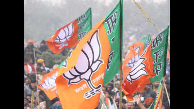 Assembly bypolls: BJP fields partyman from Noapara