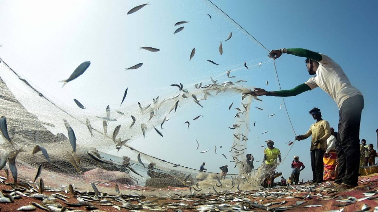 Indian Fishermen: Lankan Navy attacks over 3,500 fishermen from Tamil Nadu,  snaps fishing nets
