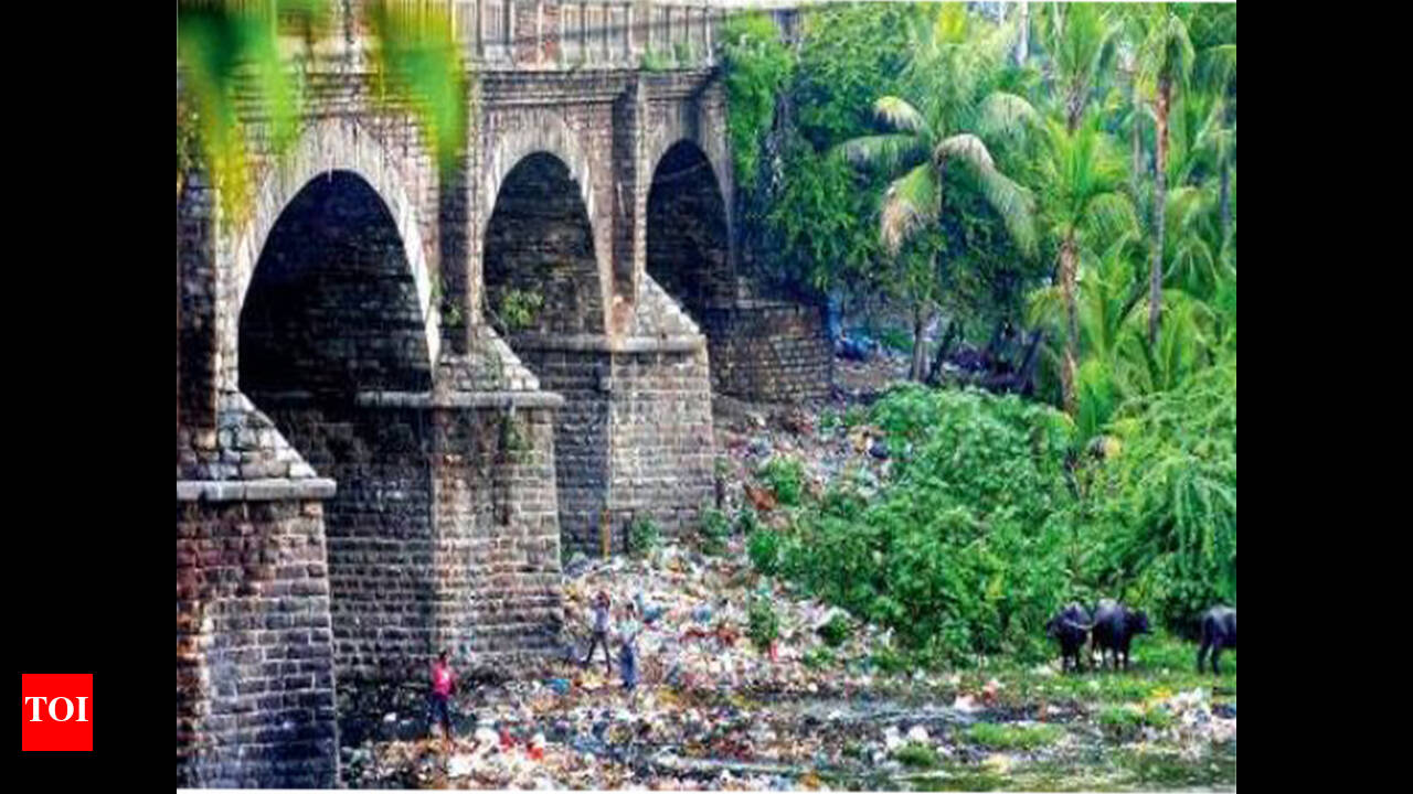 मूसी नदी प्रदूषण