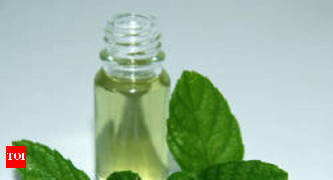 Mentha oil rate today Mentha oil future price up 0.93 to