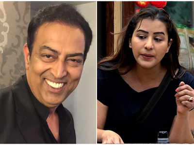 Hina Khan and Vikas Gupta ganged up against Shilpa Shinde so that she commits some mistake and they look good: Vindu Dara Singh
