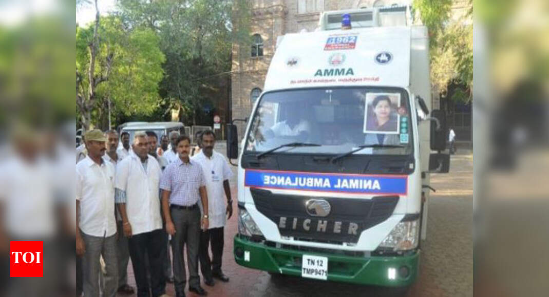 Vets to be on prepared for animals hurt in events | Trichy News - Times of India Vets to be on prepared for animals hurt in events | Trichy News - Times of India
