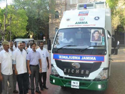 Vets to be on prepared for animals hurt in events | Trichy News - Times of India Vets to be on prepared for animals hurt in events | Trichy News - Times of India