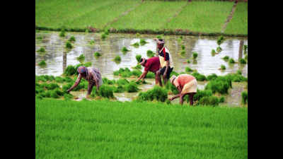 Maharashtra opens up farm land for affordable housing; 1 FSI limit