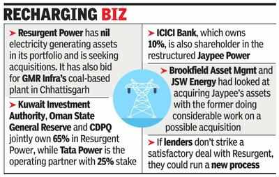 Tata-backed Resurgent bids for power assets of Jaypee