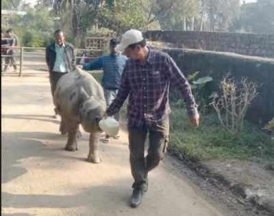 Rhino mating attempt at Assam zoo turns fatal