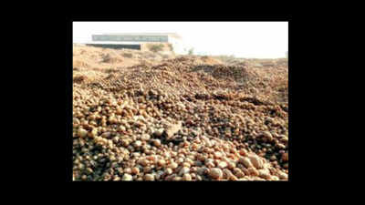 Cold storage owners, farmers dump potatoes
