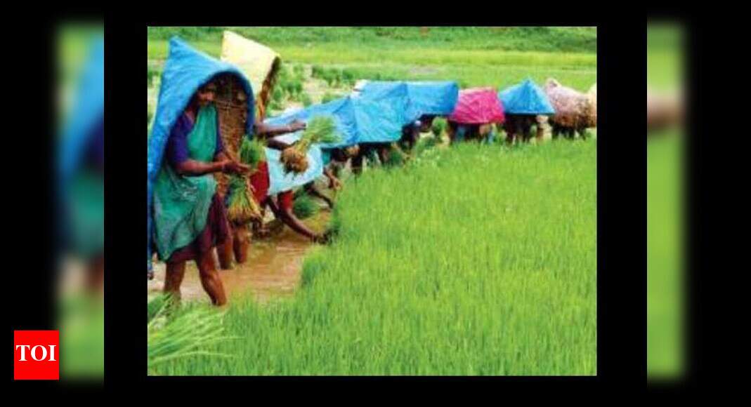 Karnataka Karnataka looks to embrace new agricultural production