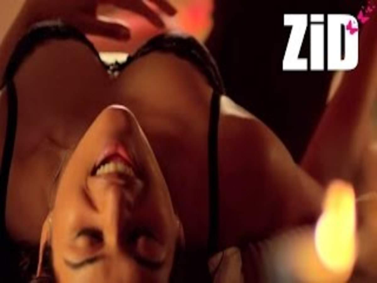 ZiD Trailer