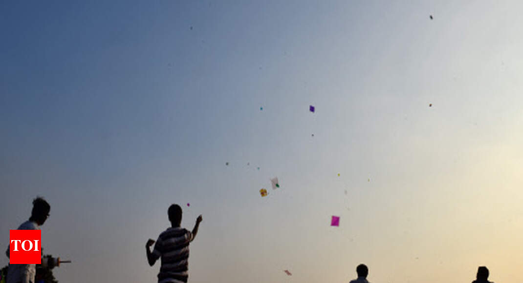 miramar Kite festival adds dash of colour to Miramar beach Goa News