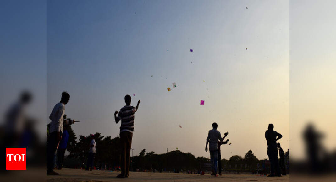 Miramar Kite festival adds dash of colour to Miramar beach Goa News