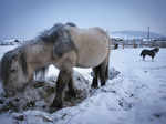 Yakutia