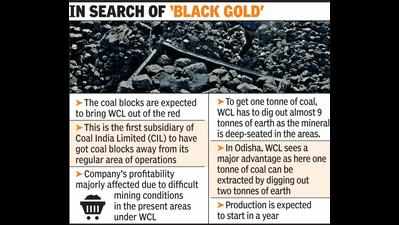 WCL gets 4 coal blocks in Odisha’s Ib valley