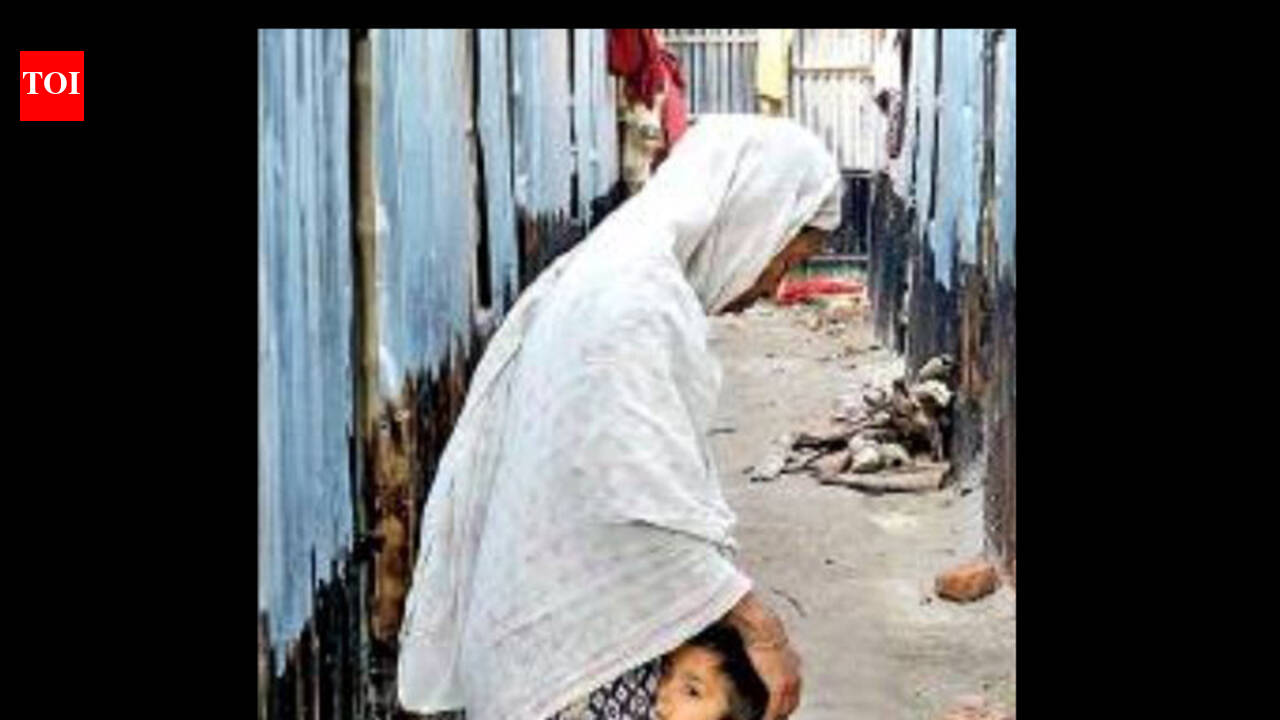 29 Rohingyas travel 5330km to find shelter in Bengal village