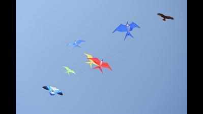 Paper birds spread their wings in city skies