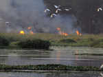 Bellandur Lake under fire