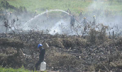 40 acres burnt; Bellandur fire doused after 30 hours