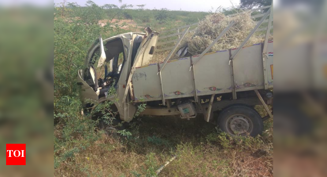 Four herbal farm workers die in TN road accident | Chennai News - Times ...