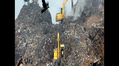Give timeline for use of Ghazipur waste to build roads: Parliament panel