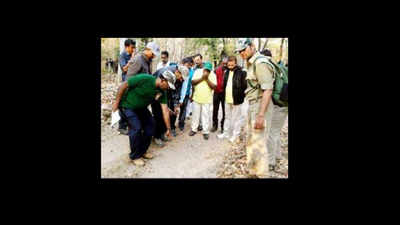 5000 forest staff, volunteers embark on wildlife census